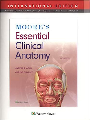 Image of Moore's essential clinical anatomy