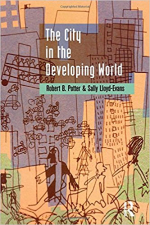 Image of The City in the Developing World