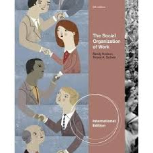 Image of The Social Organization of Work