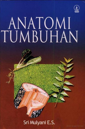 Image of Anatomi Tumbuhan